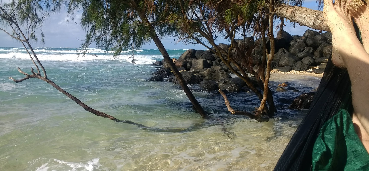 In a hammock in Maui